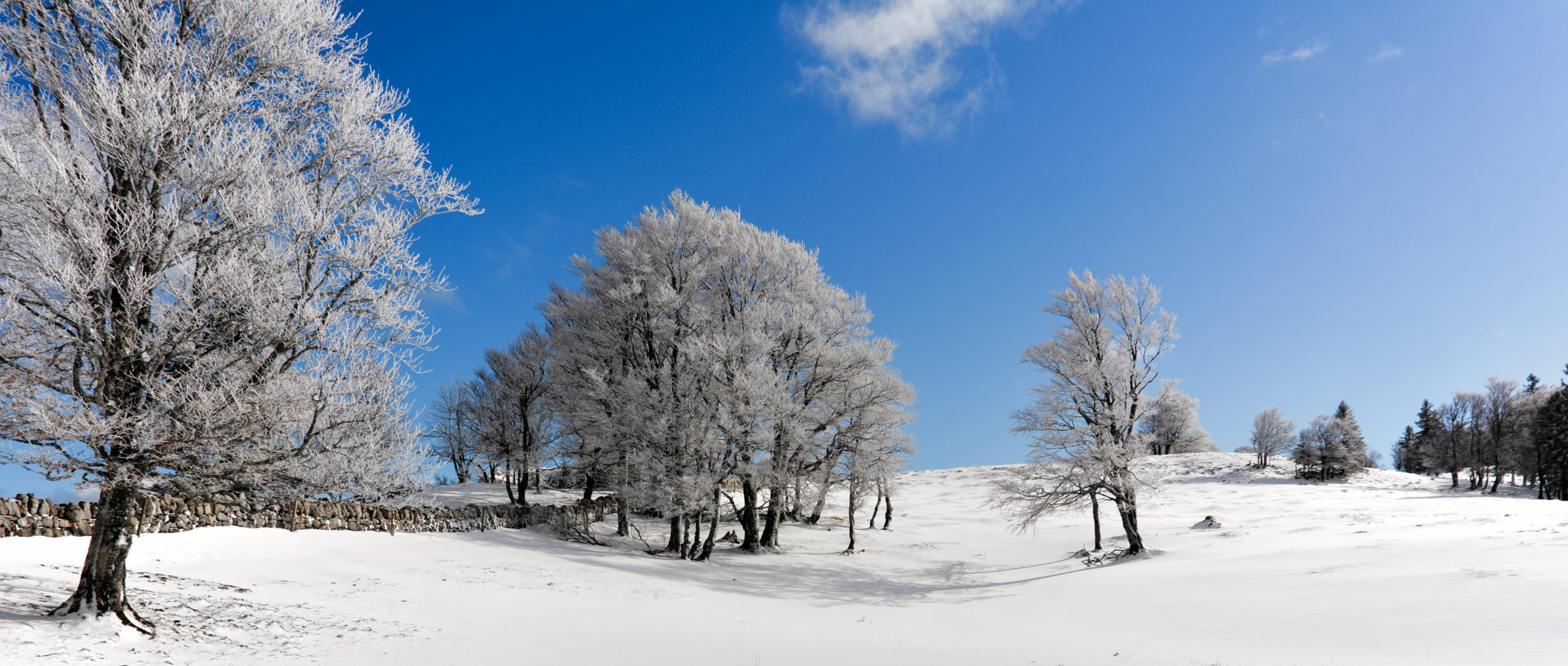 WEEK 1: SWITZERLAND TO SPAIN OR FROM -2° to 20°C