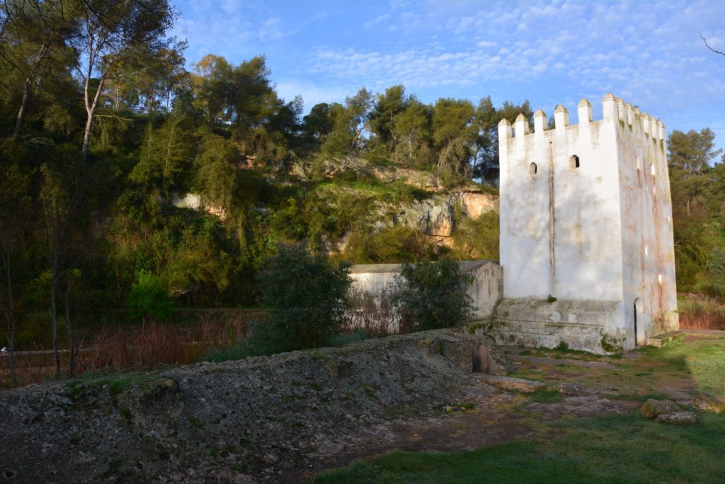 Molino