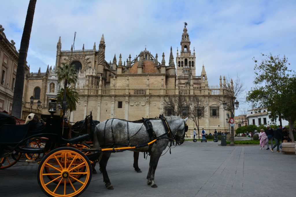 Cathedral