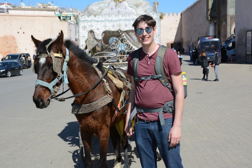 Horse