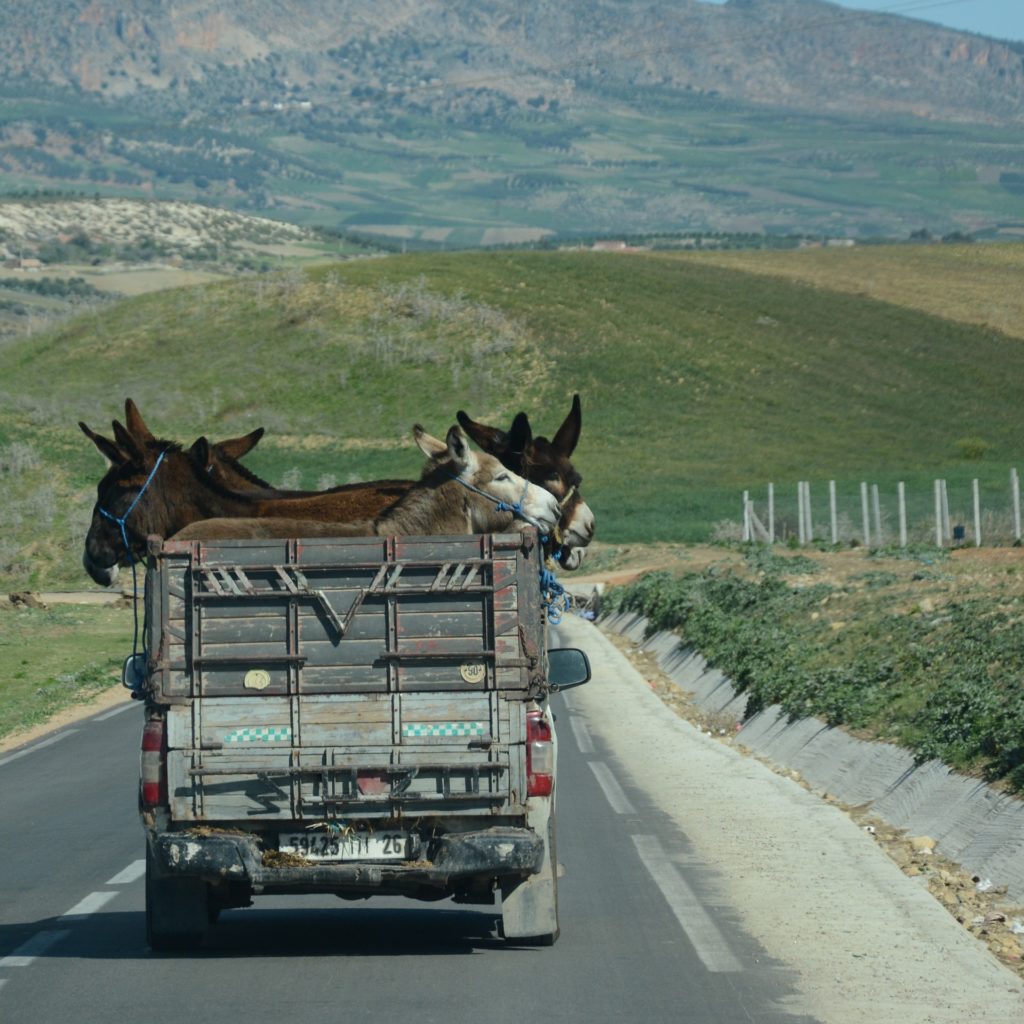 Traffic