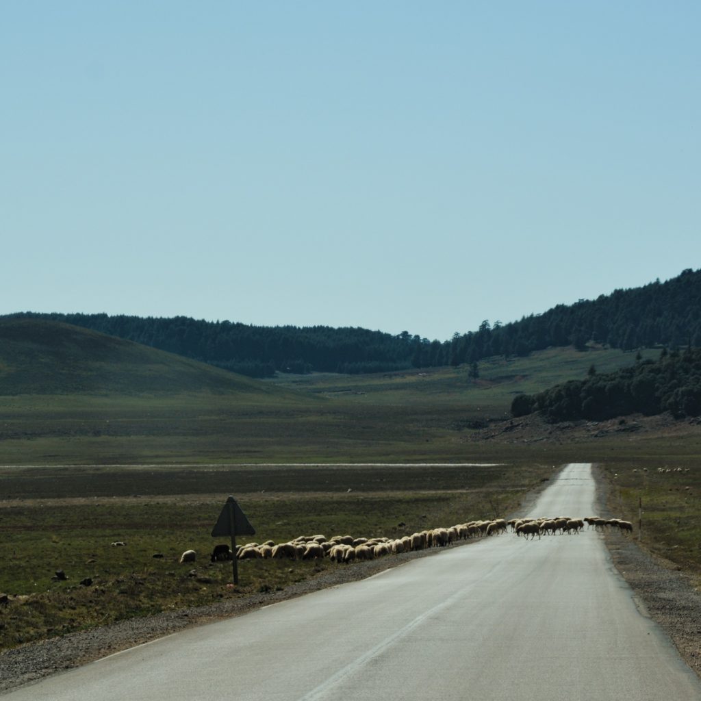 Highlands