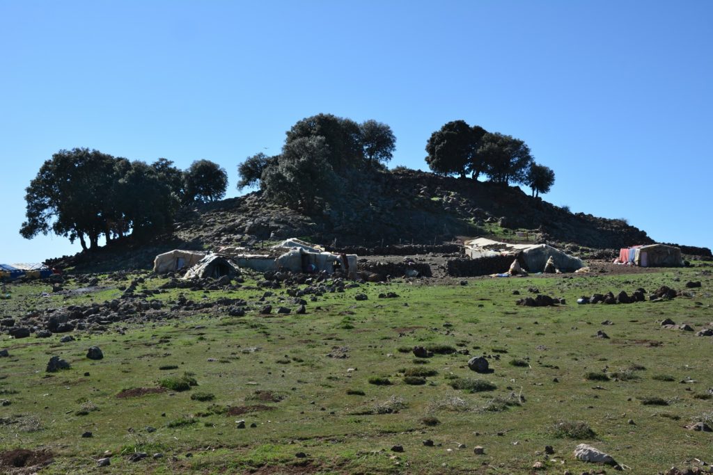 Berber House