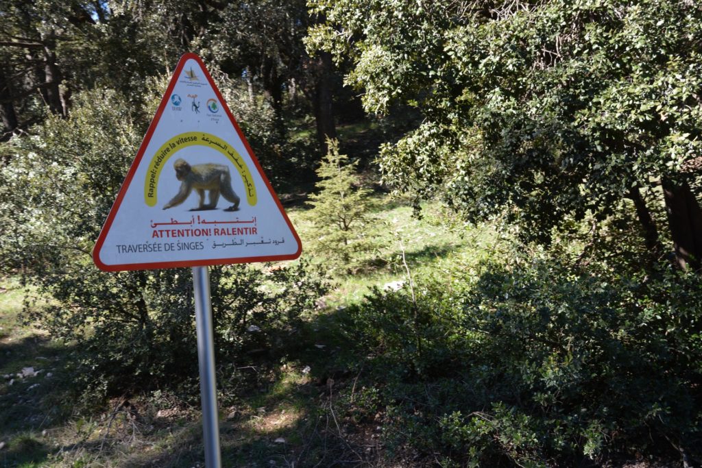 Warning Signs