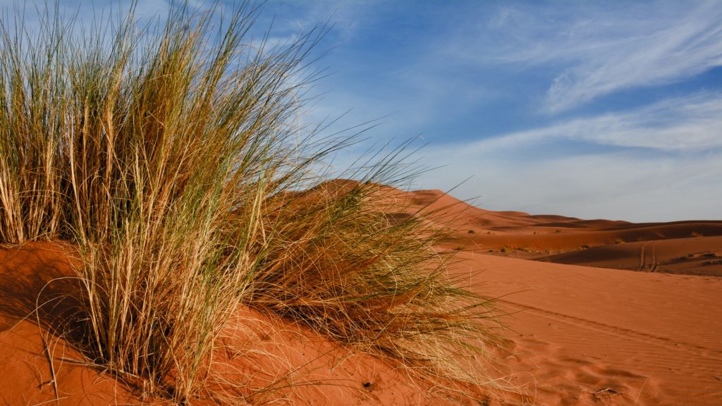 Dunes