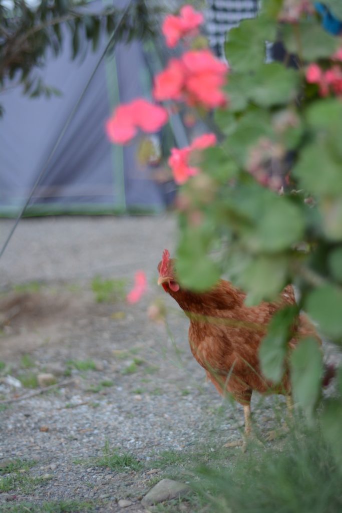 Did I miss something?