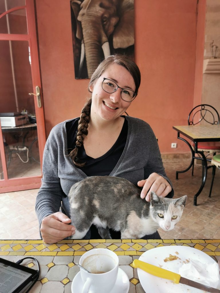 Cat