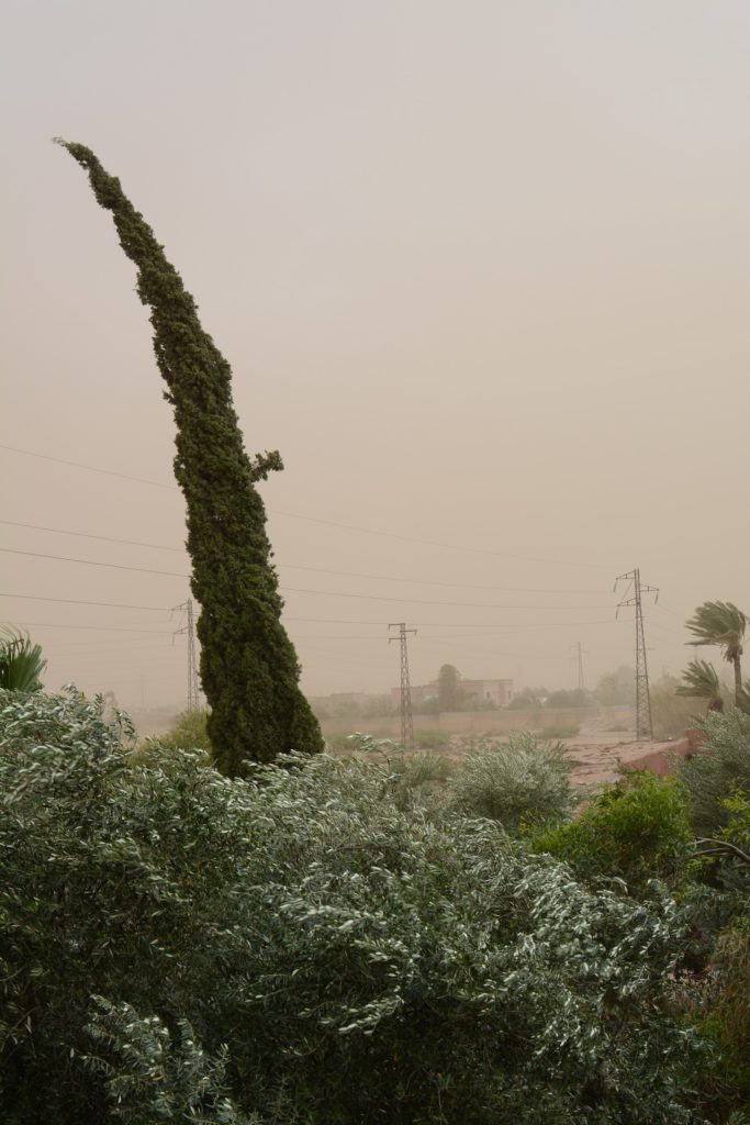 Sandstorm