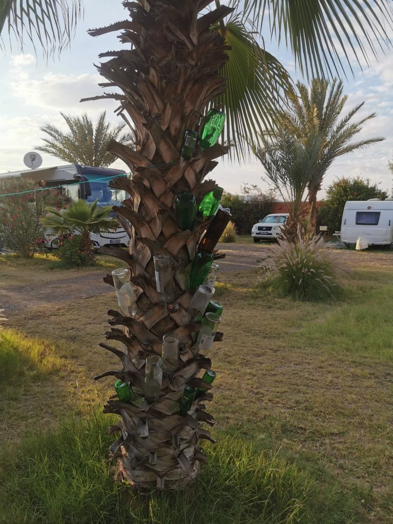 Ghetto tree