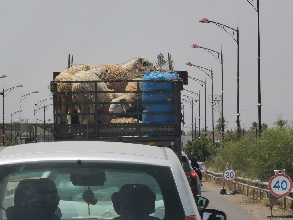 Logistics