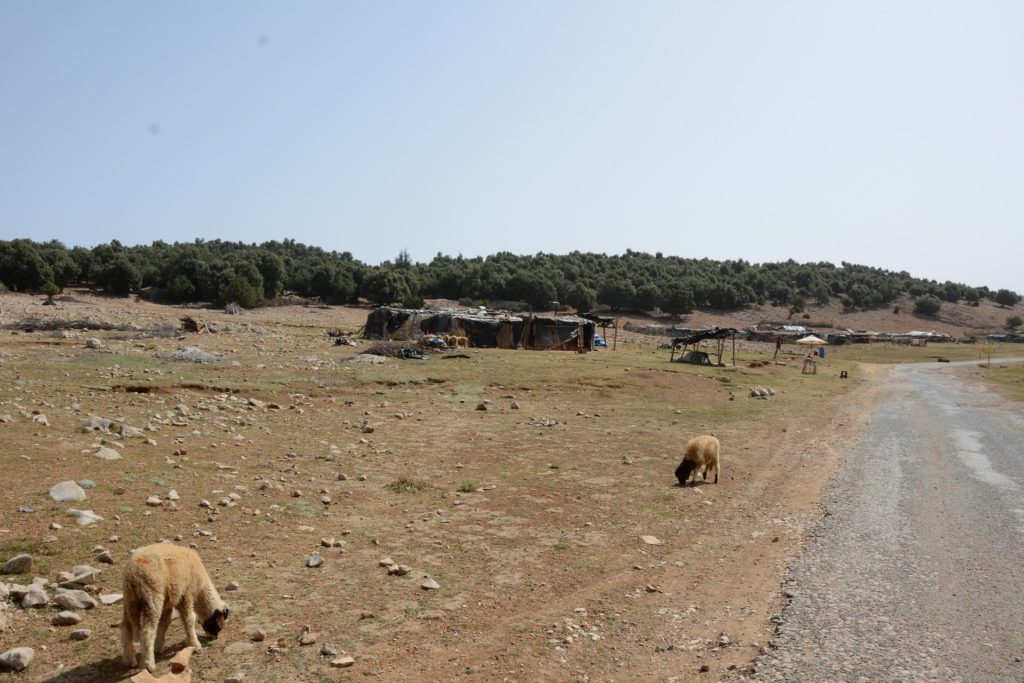 Berber hut along the road