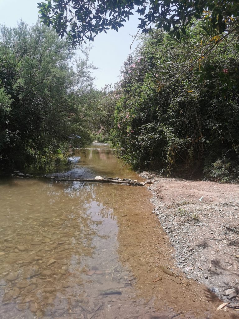Creek