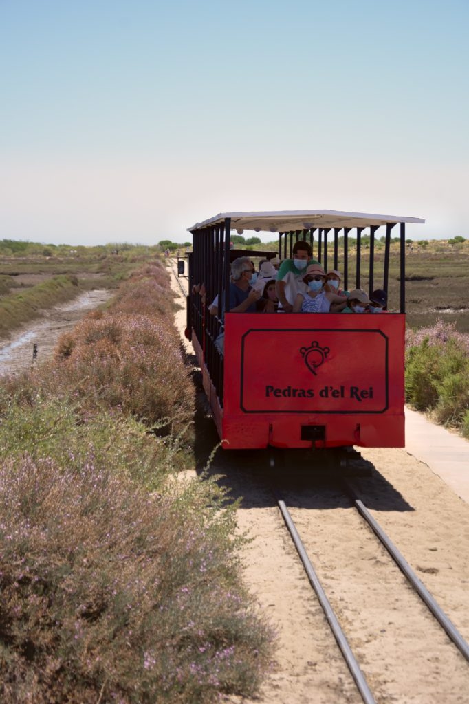 Mini train