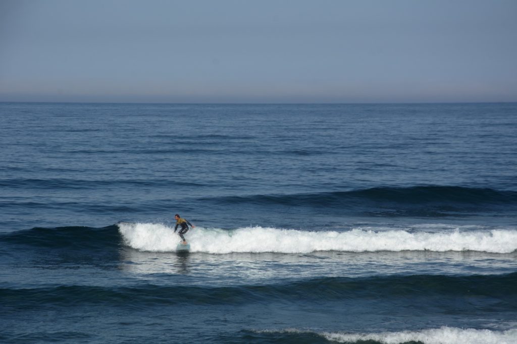 Surfer