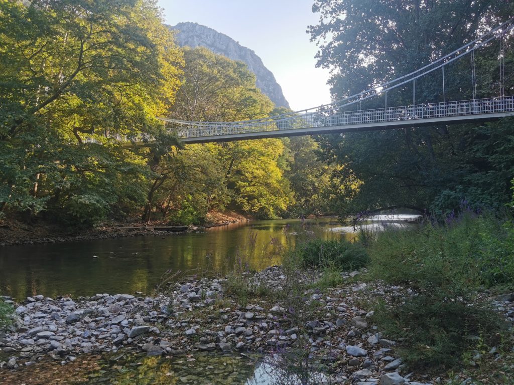 Bridge