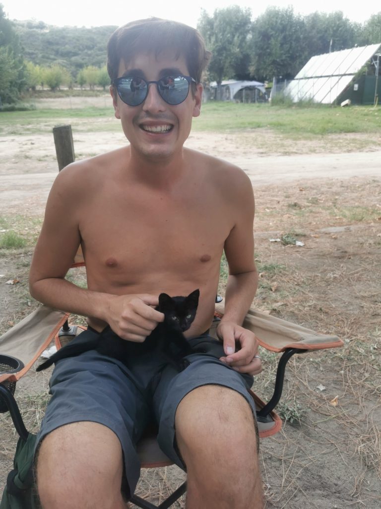 Cat