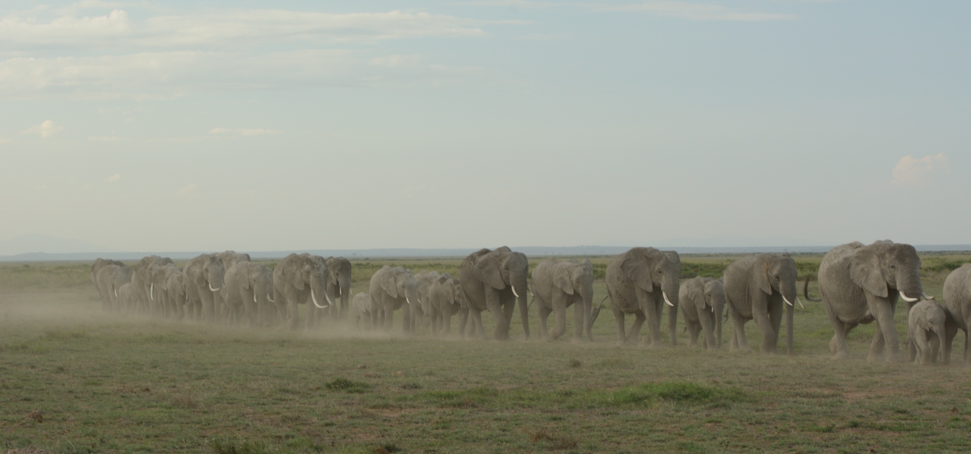 KENYA: LET THE SAFARI BEGIN
