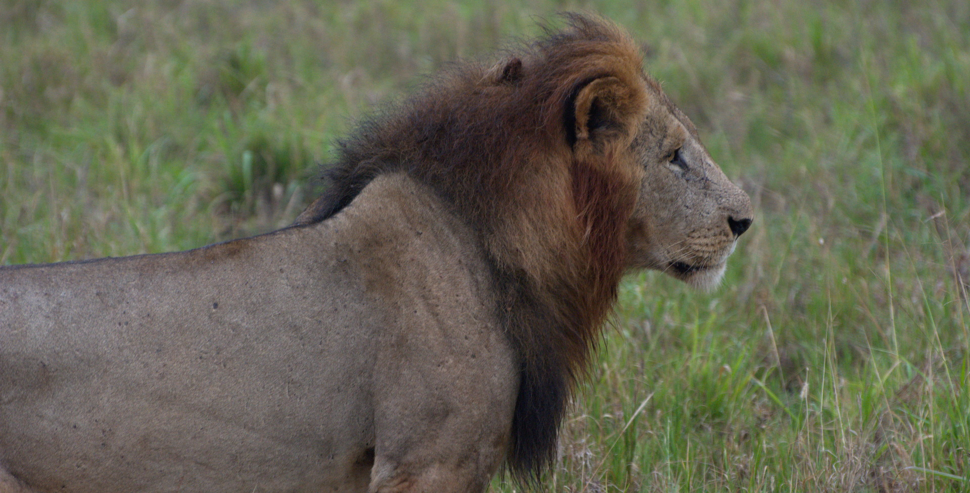 KENYA: BACK FOR SOME MORE